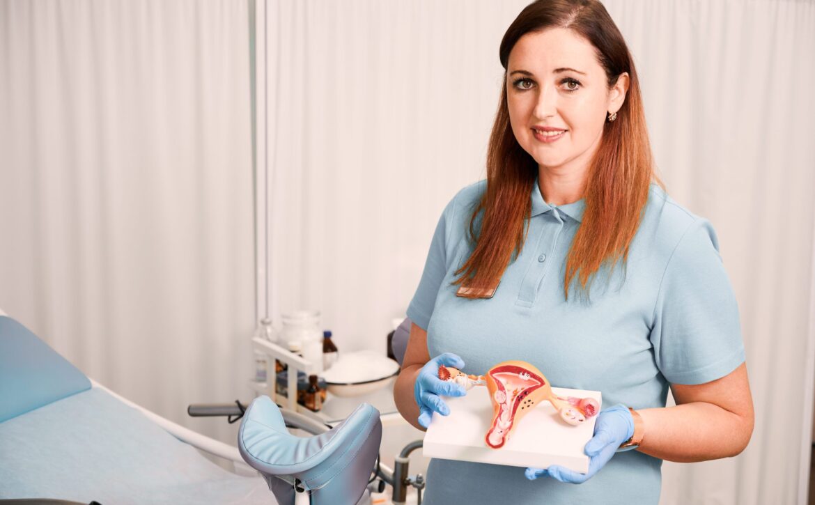 Charming female doctor holding uterus anatomy model.